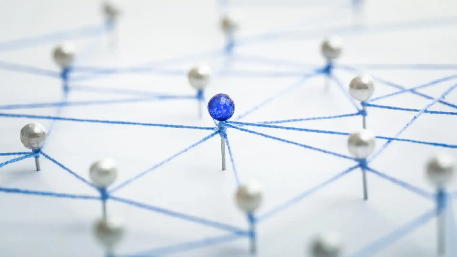 Audience Growth by MAQ Digital Media